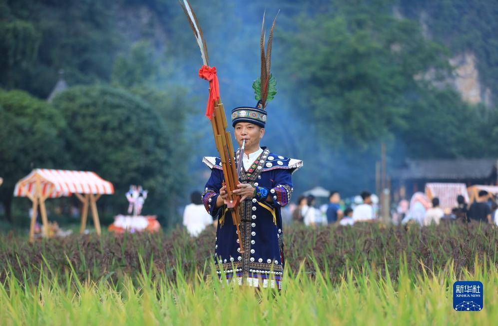 红桃导航